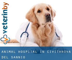 Animal Hospital in Civitanova del Sannio