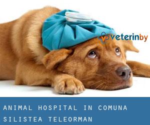 Animal Hospital in Comuna Siliştea (Teleorman)