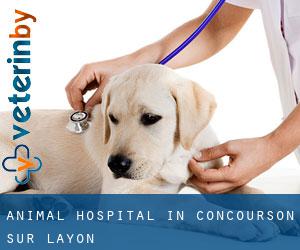 Animal Hospital in Concourson-sur-Layon