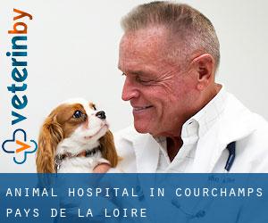 Animal Hospital in Courchamps (Pays de la Loire)