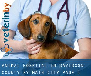 Animal Hospital in Davidson County by main city - page 1