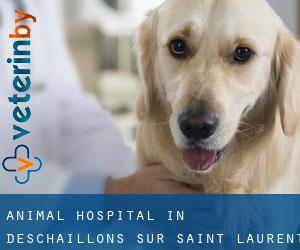 Animal Hospital in Deschaillons-sur-Saint-Laurent