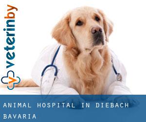 Animal Hospital in Diebach (Bavaria)