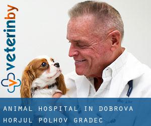 Animal Hospital in Dobrova-Horjul-Polhov Gradec