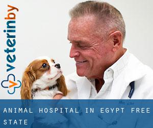 Animal Hospital in Egypt (Free State)