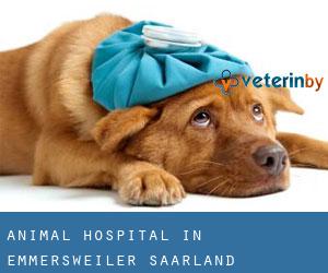 Animal Hospital in Emmersweiler (Saarland)