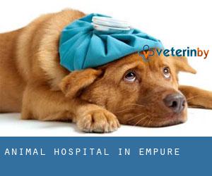 Animal Hospital in Empuré