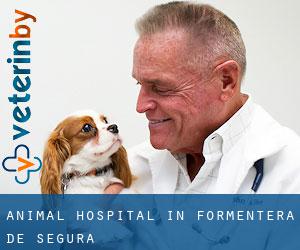 Animal Hospital in Formentera de Segura