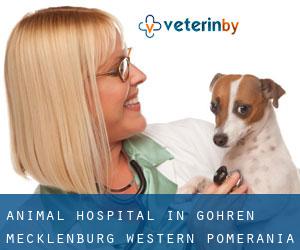 Animal Hospital in Göhren (Mecklenburg-Western Pomerania)