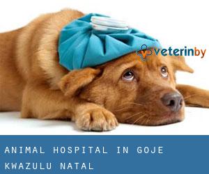 Animal Hospital in Goje (KwaZulu-Natal)