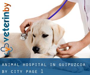 Animal Hospital in Guipuzcoa by city - page 1