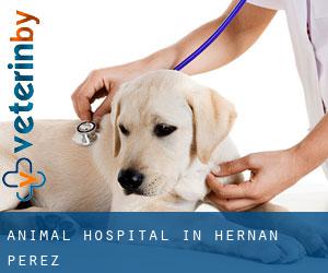 Animal Hospital in Hernán-Pérez
