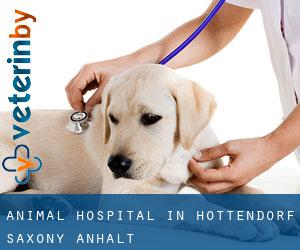 Animal Hospital in Hottendorf (Saxony-Anhalt)