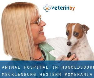 Animal Hospital in Hugoldsdorf (Mecklenburg-Western Pomerania)