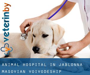 Animal Hospital in Jabłonna (Masovian Voivodeship)