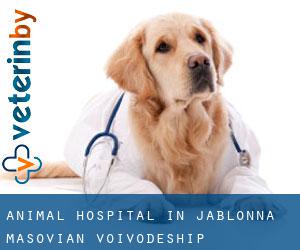 Animal Hospital in Jabłonna (Masovian Voivodeship)
