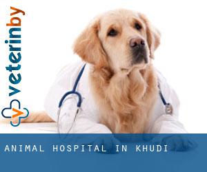Animal Hospital in Khudi