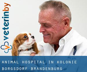 Animal Hospital in Kolonie Borgsdorf (Brandenburg)