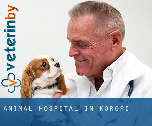 Animal Hospital in Koropí