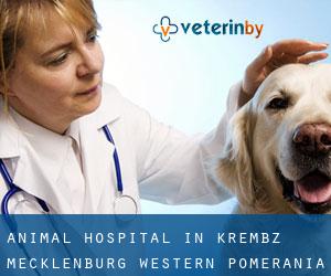 Animal Hospital in Krembz (Mecklenburg-Western Pomerania)