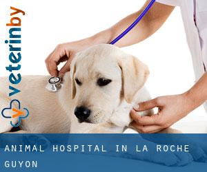 Animal Hospital in La Roche-Guyon
