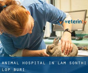 Animal Hospital in Lam Sonthi (Lop Buri)