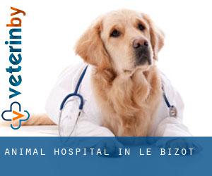 Animal Hospital in Le Bizot
