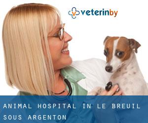 Animal Hospital in Le Breuil-sous-Argenton