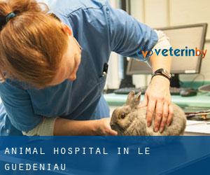 Animal Hospital in Le Guédeniau