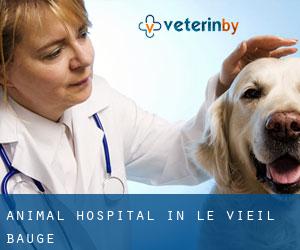 Animal Hospital in Le Vieil-Baugé