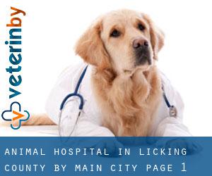 Animal Hospital in Licking County by main city - page 1