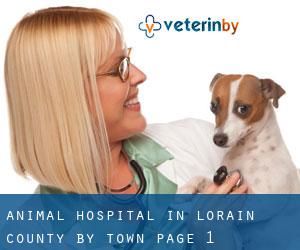 Animal Hospital in Lorain County by town - page 1