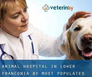 Animal Hospital in Lower Franconia by most populated area - page 4