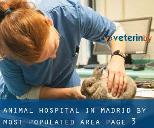 Animal Hospital in Madrid by most populated area - page 3 (Province)