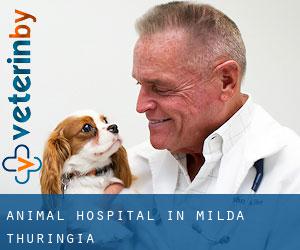 Animal Hospital in Milda (Thuringia)