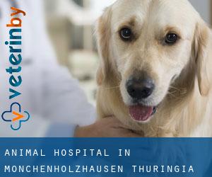 Animal Hospital in Mönchenholzhausen (Thuringia)