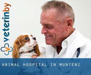Animal Hospital in Munteni