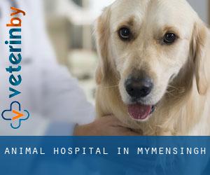 Animal Hospital in Mymensingh