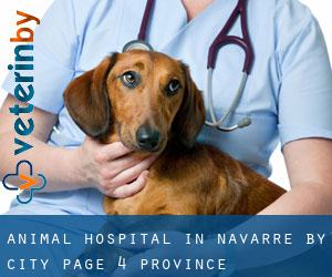 Animal Hospital in Navarre by city - page 4 (Province)