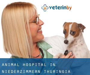 Animal Hospital in Niederzimmern (Thuringia)