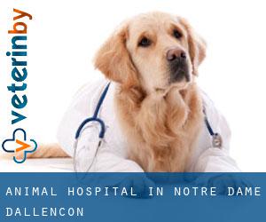 Animal Hospital in Notre-Dame-d'Allençon