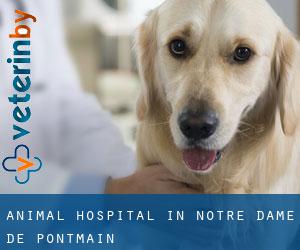 Animal Hospital in Notre-Dame-de-Pontmain