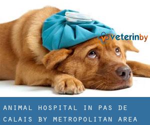 Animal Hospital in Pas-de-Calais by metropolitan area - page 2
