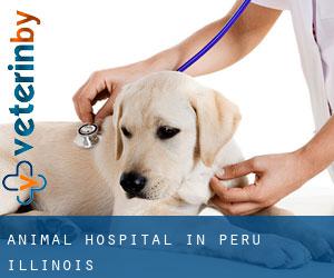 Animal Hospital in Peru (Illinois)