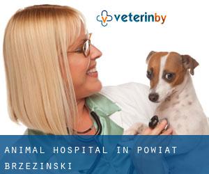 Animal Hospital in Powiat brzeziński