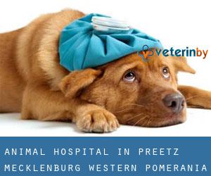 Animal Hospital in Preetz (Mecklenburg-Western Pomerania)