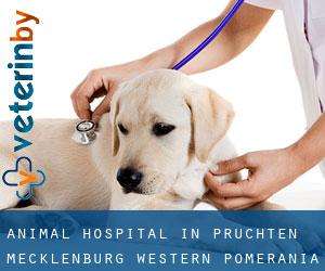 Animal Hospital in Pruchten (Mecklenburg-Western Pomerania)