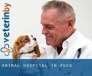 Animal Hospital in Puck