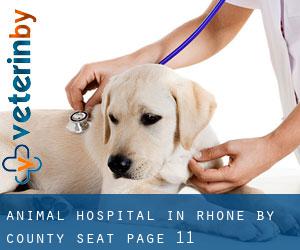 Animal Hospital in Rhône by county seat - page 11