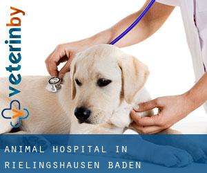 Animal Hospital in Rielingshausen (Baden-Württemberg)